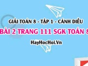 Giải bài 2 trang 111 Toán 8 Tập 1 SGK Cánh Diều: Hình bình hành, hình chữ nhật
